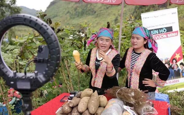 Phổ cập thương mại điện tử, mở đường cho đặc sản đến người tiêu dùng