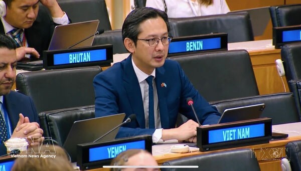 Vietnam calls for stronger int'l cooperation to drive sustainable development