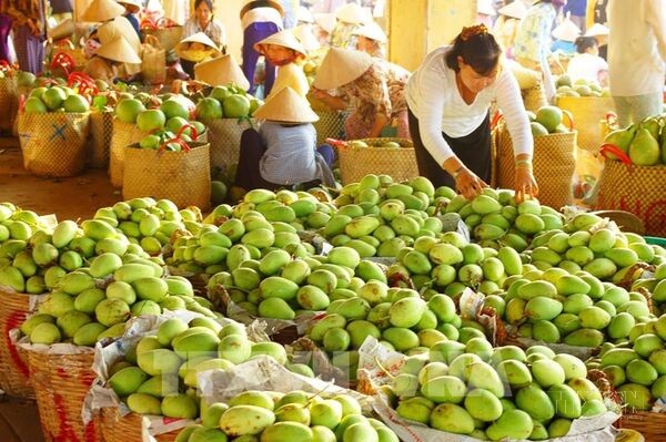 Việt Nam – Campuchia tạo động lực mới, hướng tới mục tiêu thương mại 20 tỷ USD