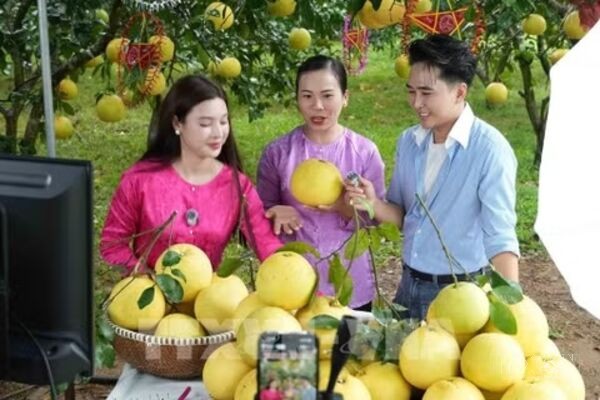 Digital platforms take Ha Tinh specialities to wider markets