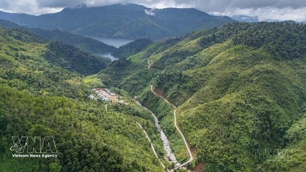 Da Nang eyes new growth from mountain and forest resources