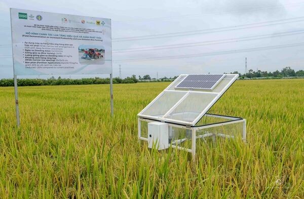 Phát triển kinh tế tầm thấp - Bài 3: Cơ chế 