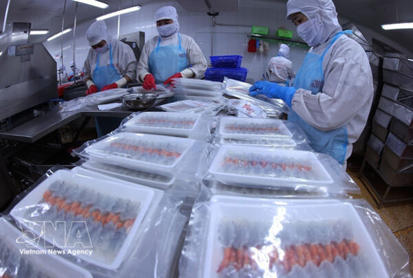 Vietnam’s shrimp exports hit 3.7 billion USD in nine months