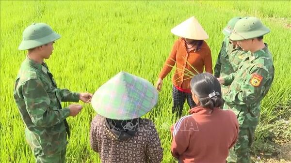 Thắm tình quân dân nơi biên cương Tổ quốc