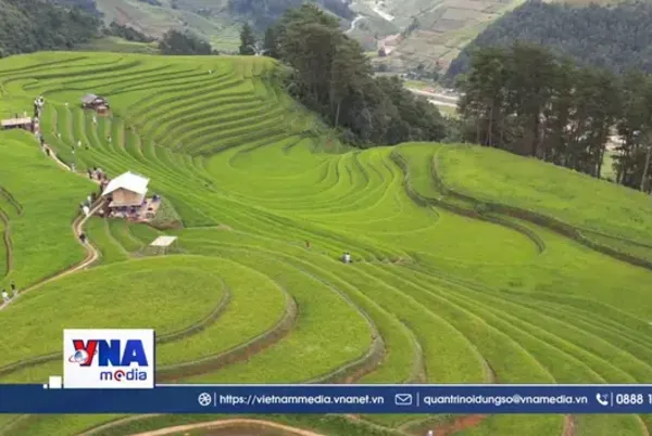 Những cung đường níu chân du khách ở Lào Cai