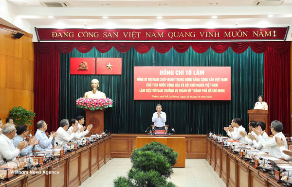Top leader urges Ho Chi Minh City to strengthen autonomy, implementation capacity