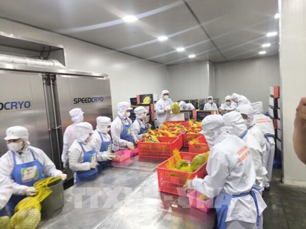 Nghị quyết 68-NQ/TW: Kinh tế tư nhân trước cơ hội phát triển mới