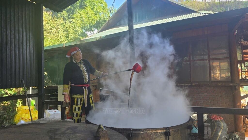 Lan tỏa giá trị thảo dược quý của người Dao đỏ ở Lào Cai