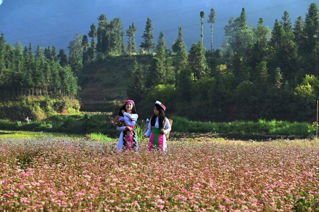 Lễ hội “Miền đá nở hoa” trên Cao nguyên đá Đồng Văn (Tuyên Quang)