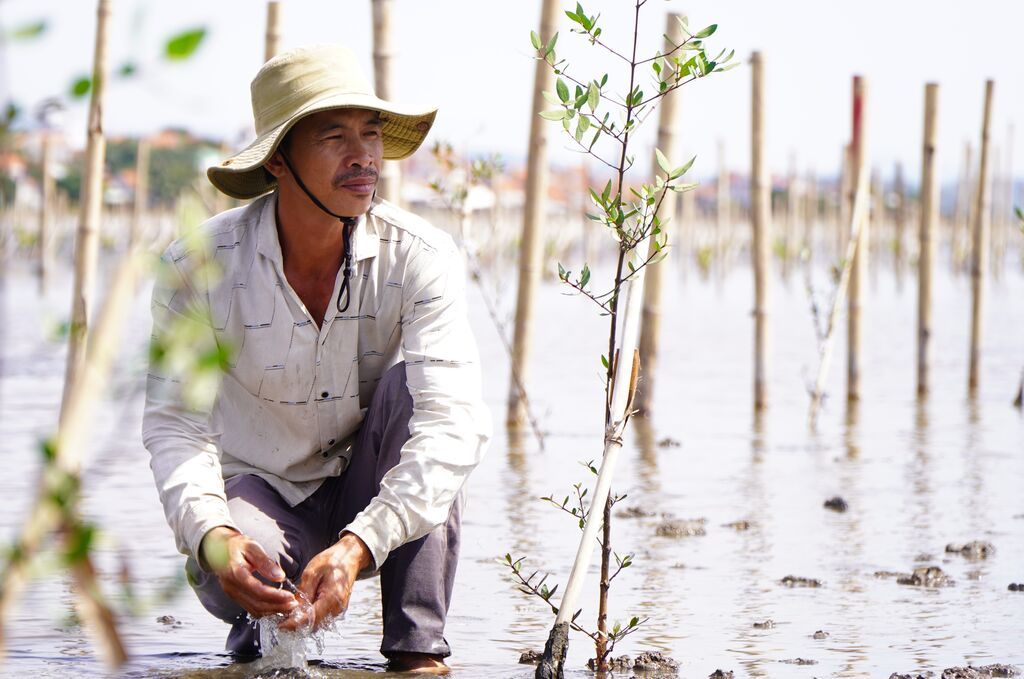 Đắk Lắk phủ xanh rừng ngập mặn, phục hồi hệ sinh thái đầm Ô Loan