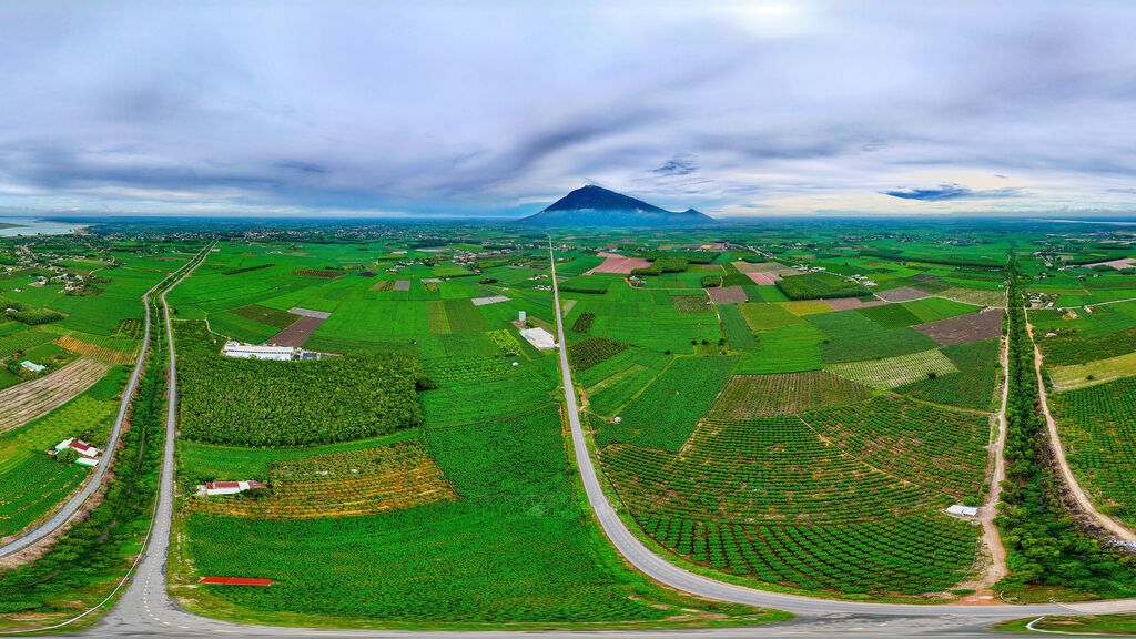 Nông nghiệp Tây Ninh khẳng định vai trò trụ đỡ của nền kinh tế