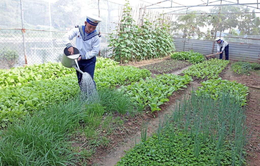 Chiến sĩ Vùng 5 vững chắc bảo vệ chủ quyền - tích cực tăng gia, sản xuất