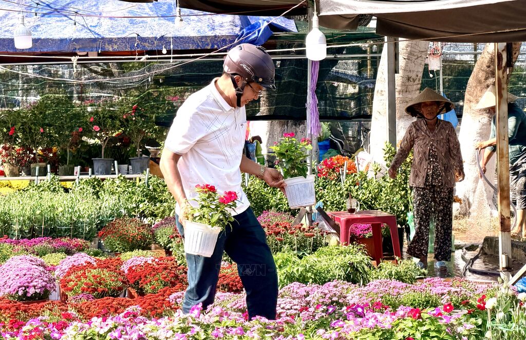 Hoa Xuân xuống phố sớm ở An Giang