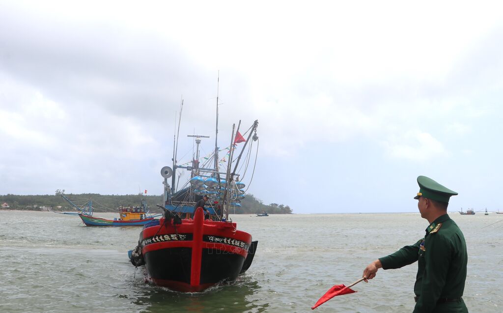 Quảng Ngãi siết chặt đối soát tàu cá, quyết tâm gỡ “thẻ vàng” IUU