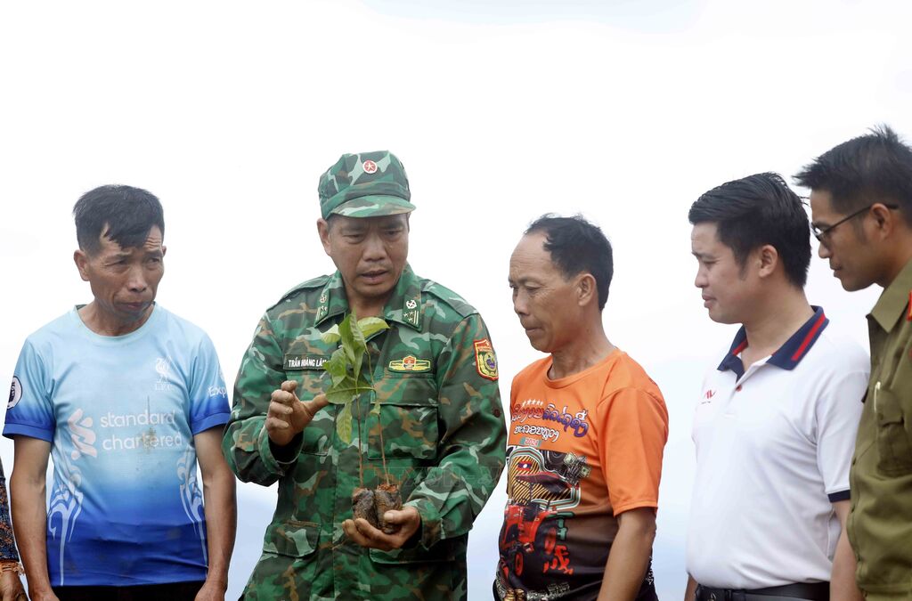 Ươm mầm xanh trên nước bạn Lào