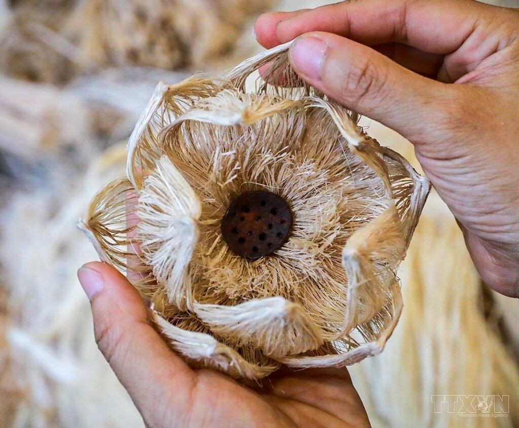 Từ nghệ thuật xanh tới trái tim xanh: Hành trình sáng tạo văn hoá của người trẻ