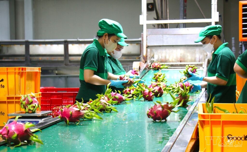Ngành nông nghiệp TP. Hồ Chí Minh tăng tốc cho mục tiêu tăng trưởng hai con số