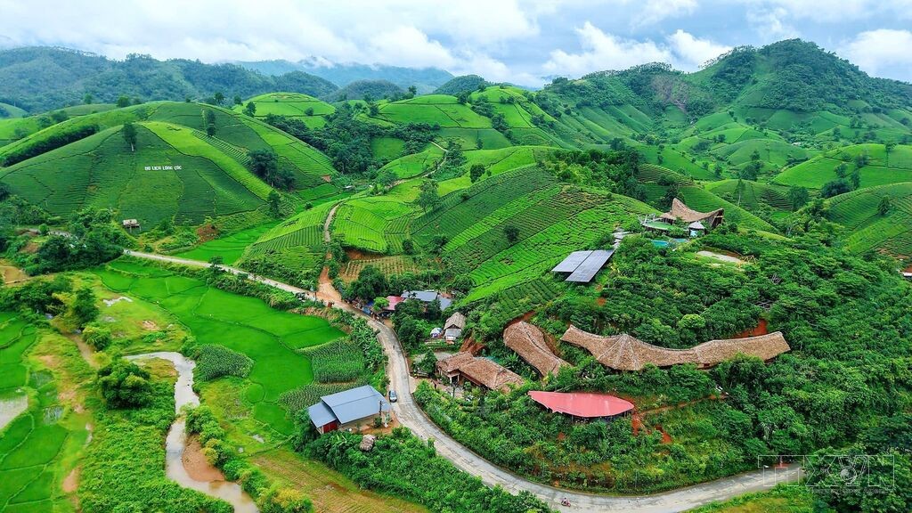 Phú Thọ nâng tầm giá trị cây chè gắn với phát triển du lịch