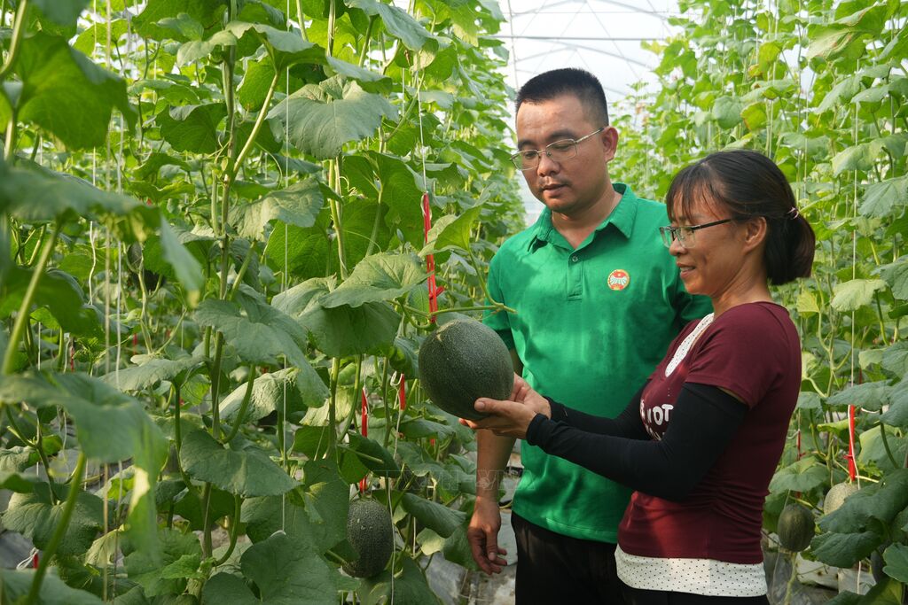 Nghệ An ứng dụng công nghệ cao vào chăn nuôi, sản xuất nông nghiệp