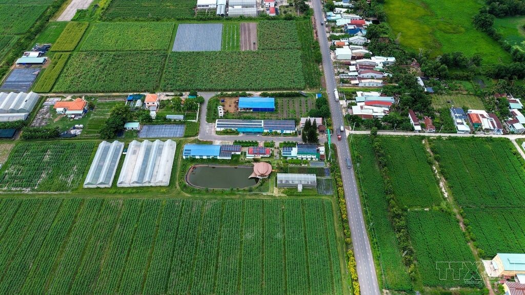 Đồng bào dân tộc thiểu số Tây Ninh: Ấm no từ những chính sách thiết thực