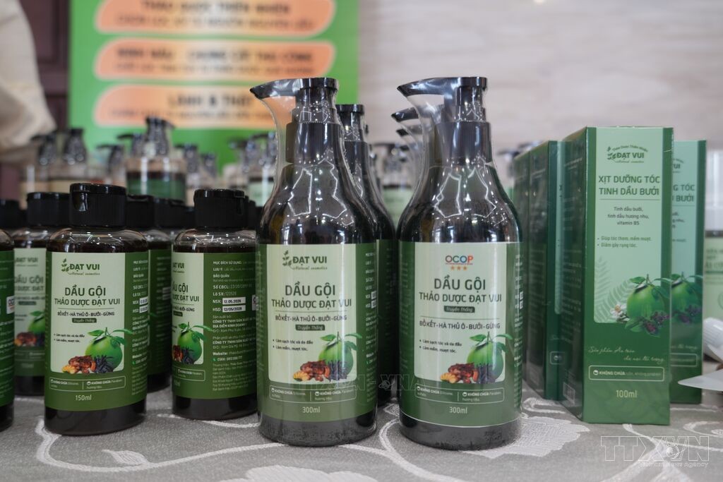 Nghệ An: Đánh thức giá trị dược liệu, mở hướng phát triển kinh tế xanh