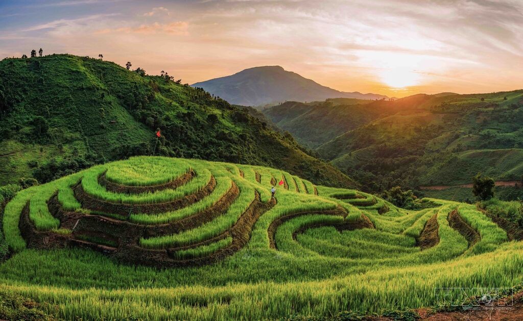 Vẻ đẹp ruộng bậc thang Pu Nhi, Điện Biên